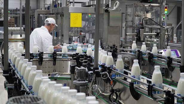 «Дмитрова гора»